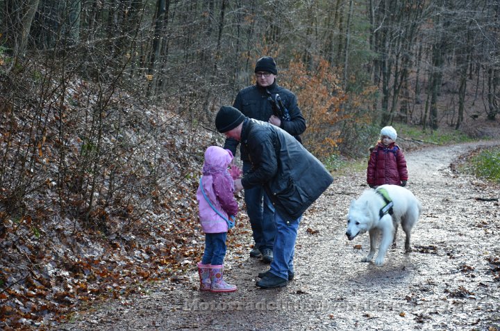 Wandertag 2012 - 098.JPG